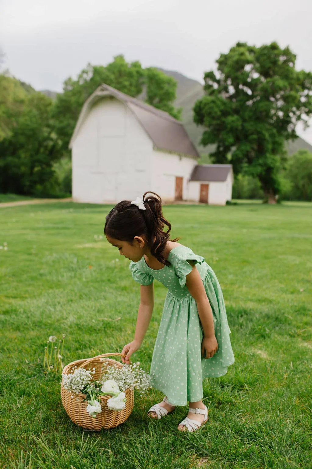 Olivia Dress in Green Daisy