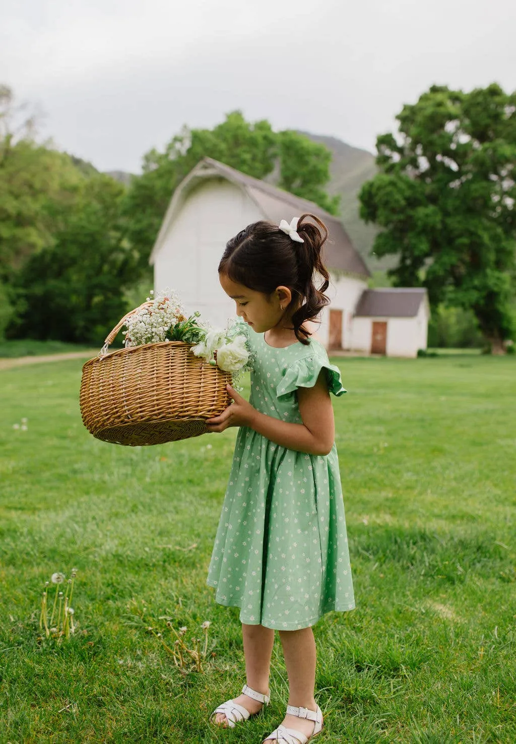 Olivia Dress in Green Daisy