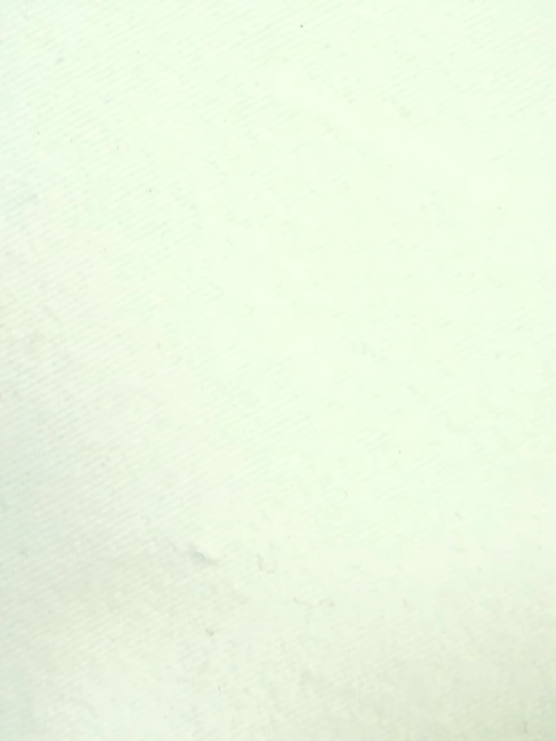 White 270gsm 100% Cotton Peach Twill